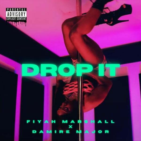 Cover art for Drop It